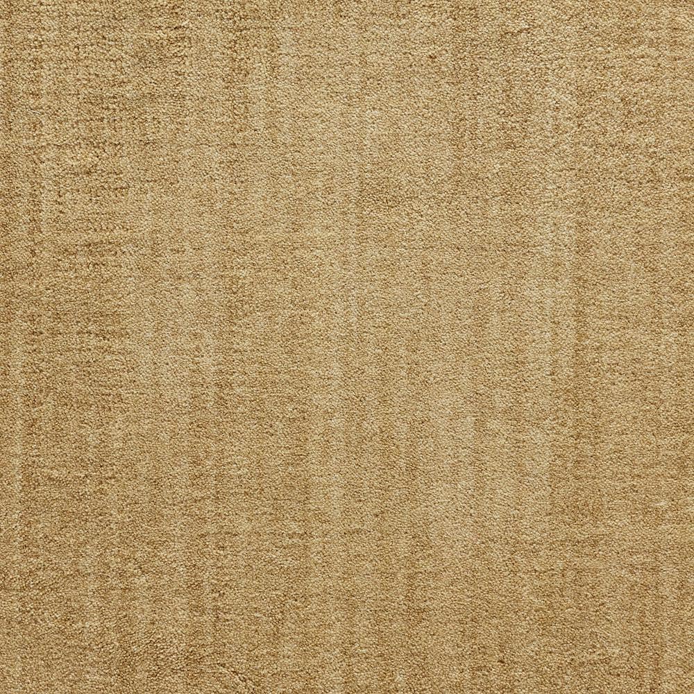 6 in. x 6 in. Texture Carpet Sample - Suspicion - Natural price history on PriceWatchPro