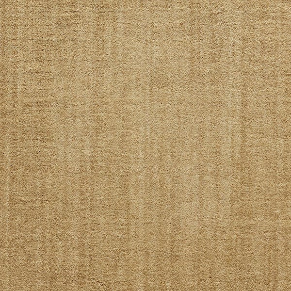 Natural Harmony 6 in. x 6 in. Texture Carpet Sample - Suspicion - Natural