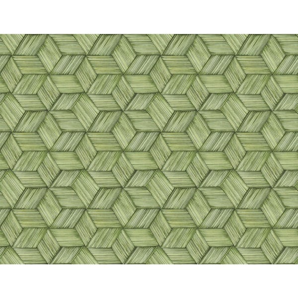 Kenneth James Intertwined Green Geometric Paper Strippable Roll Wallpaper (Covers 60.8 sq. ft.)
