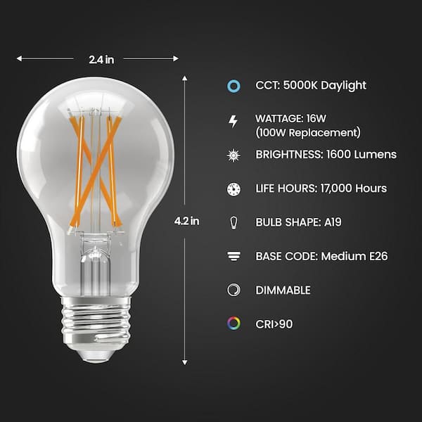 100-Watt Equivalent A-style A19 Dimmable CEC 90 CRI Clear Glass Filament E26 LED Light Bulb, Daylight 5000K (4-Pack)
