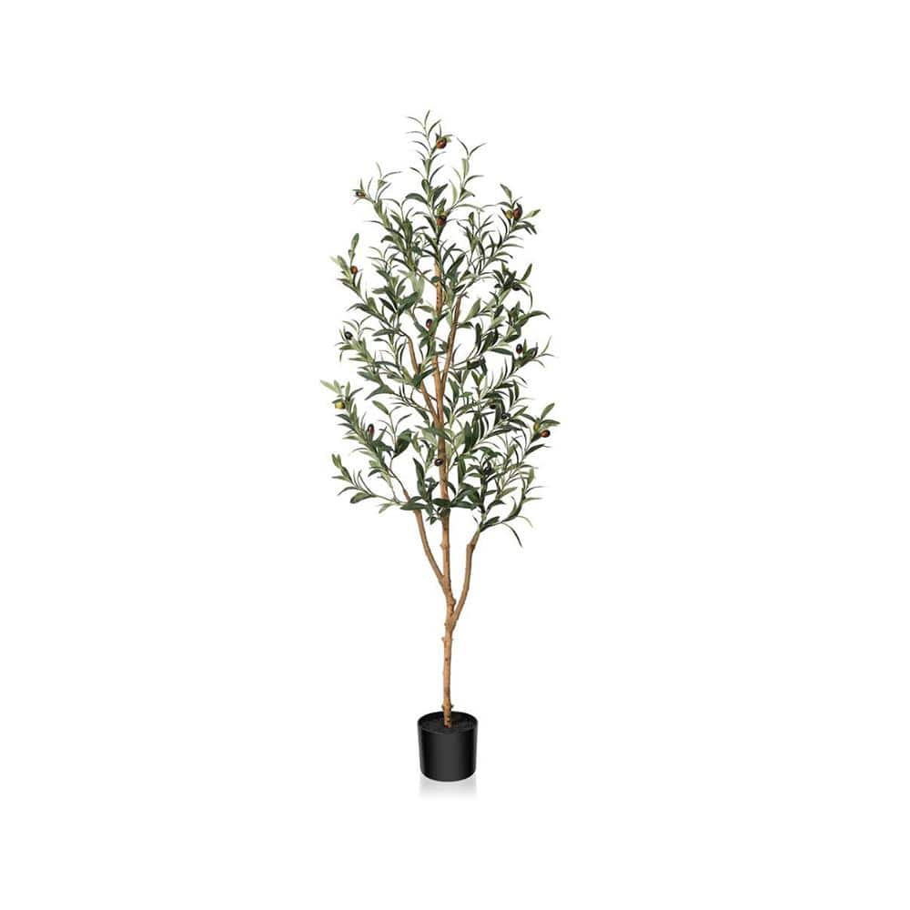 Cubilan 5 ft. Green Artificial Olive Trees 2551328423 The Home Depot
