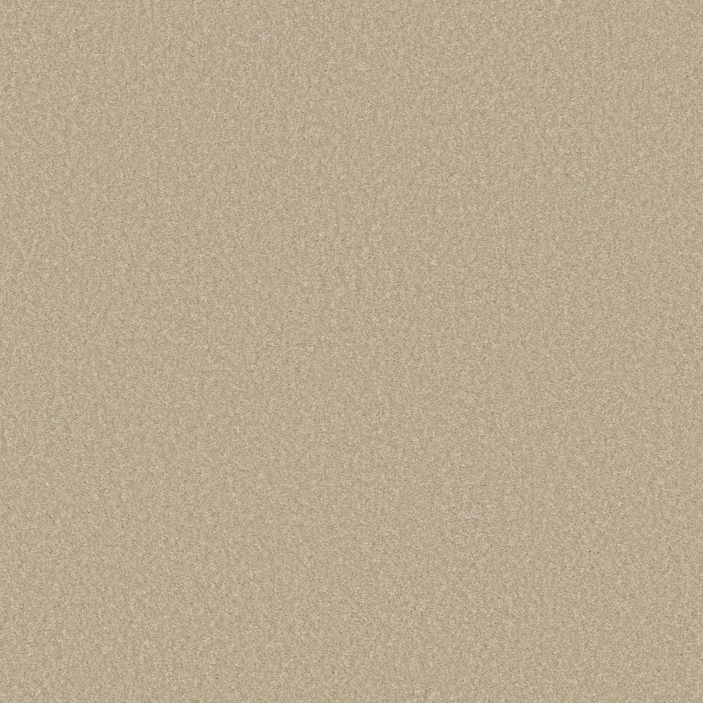 8 in. x 8 in. Texture Carpet Sample - Vacation - Color Honeycomb price history on PriceWatchPro