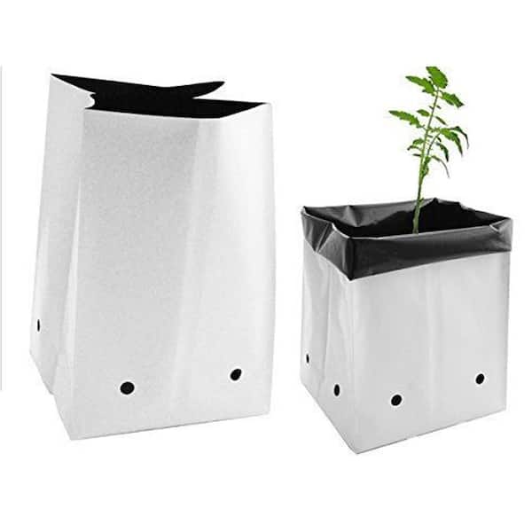 Amazon.com : Viagrow Grow Bags Thick Plastic Grow Bags for Potting,  Seedlings, Rootings, 2 Gallon 50 Pack, White : Patio, Lawn & Garden