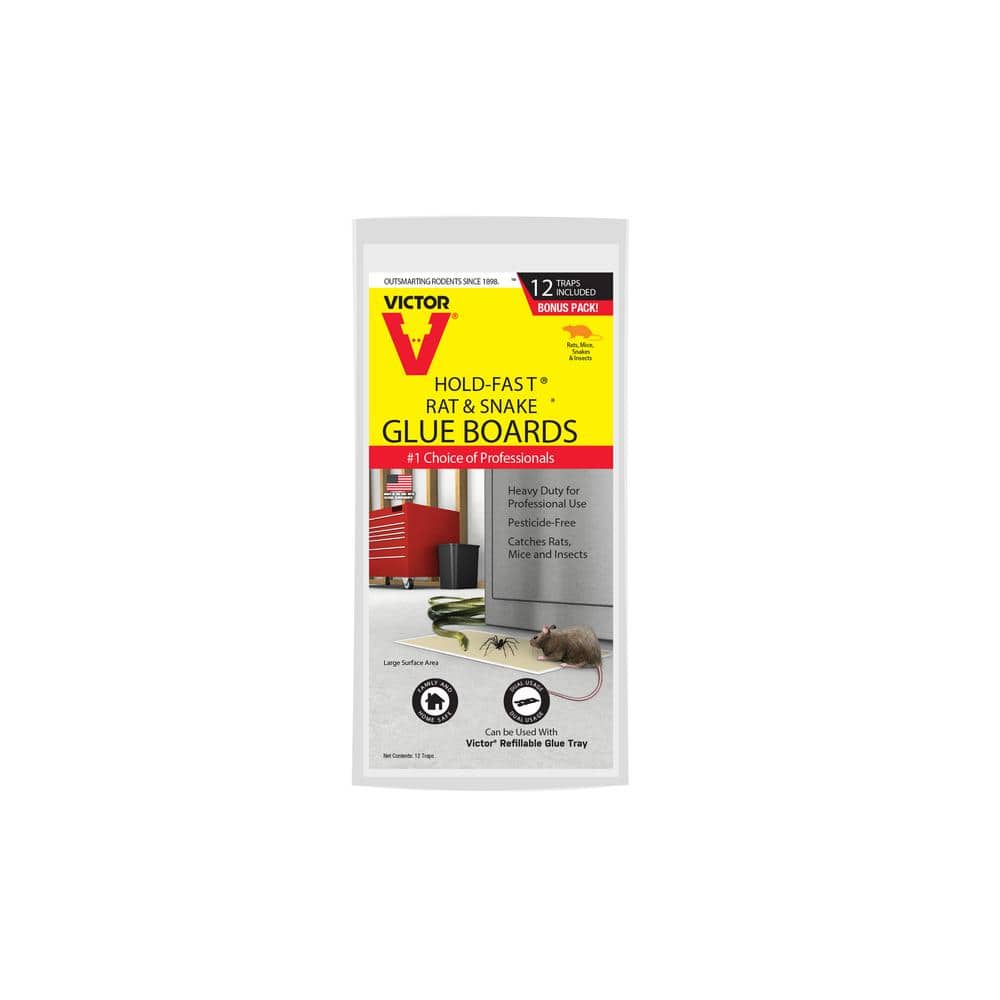 Victor Hold-Fast Disposable Rat and Snake Glue Traps (12-Pack) M3412 - The  Home Depot