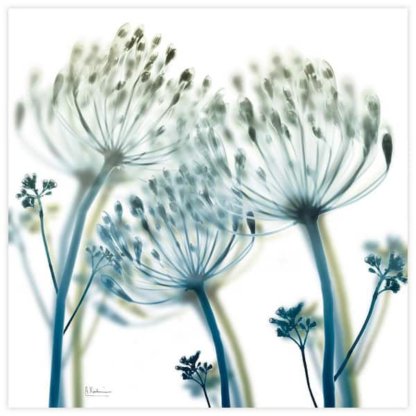 "Unfocused Beauty 2" Unframed Free Floating Tempered Glass Panel Graphic Wall Art Print 24 in. x 24 in.