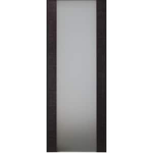 Avanti 202 18 in. x 80 in. Full Lite SolidCore Frosted Glass Black Apricot Finished Wood Composite Interior Door Slab