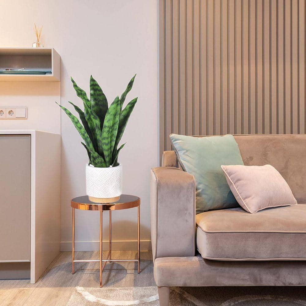 1.33 ft. Artificial Snake Plant Tree LINBQ168 - The Home Depot