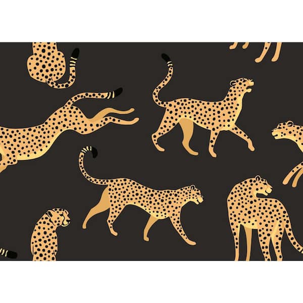 Graduate Collection - Cheetah Wallpaper