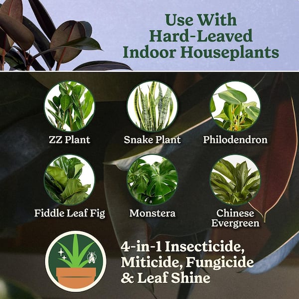 Plant Care Leaf Protect and Shine 8 fl. oz. 4-in-1 Insecticide, Miticide, Fungicide and Leaf Shine Spray for Plants