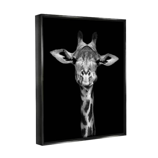Stupell Industries Striking Greyscale Monochrome Zebra Photography Portrait  Gallery-Wrapped Canvas Print Wall Art, 30x40, by Incado