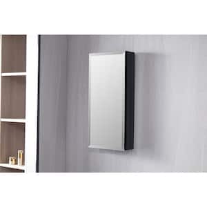12 in. W x 26 in. H Small Rectangular Black Recessed/Surface Mount Medicine Cabinet with Mirror