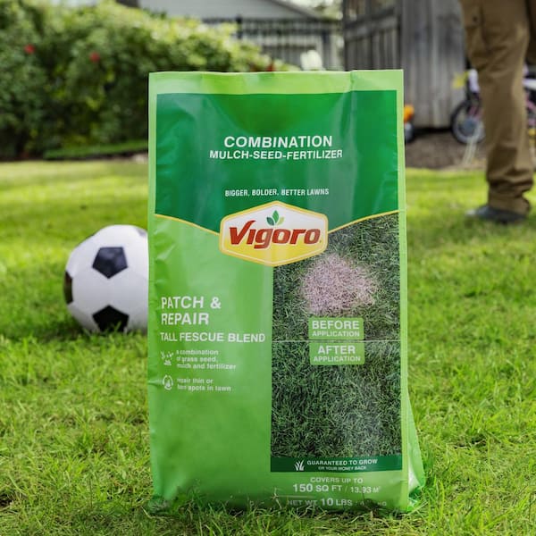 Vigoro 10 lbs. Patch and Repair Tall Fescue Grass Seed Mix