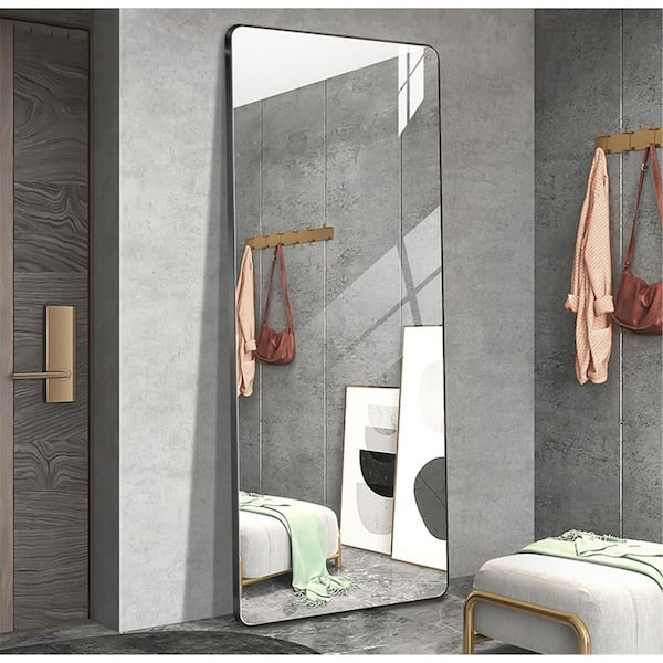 Unbranded 24 in. W x 65 in. H Rectangular Framed Freestanding Bathroom Vanity Mirror in Black, Full Length Mirror with Aluminum