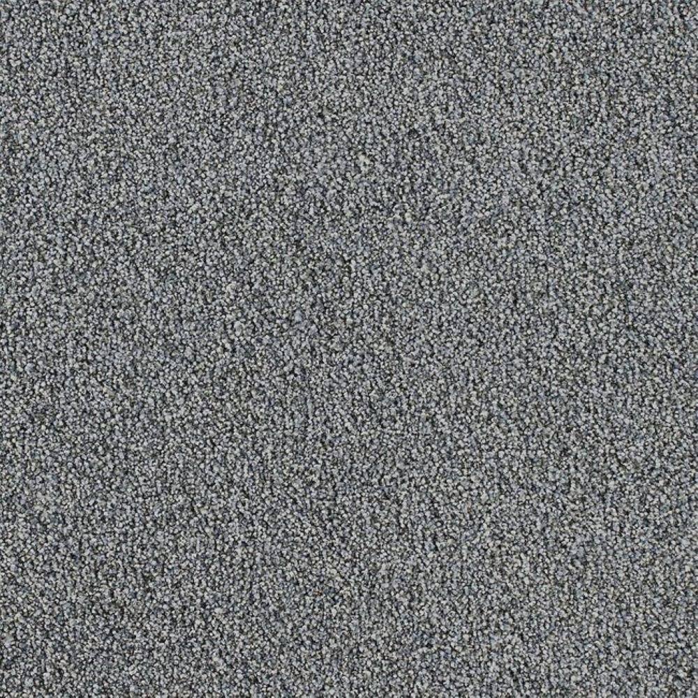 8 in. x 8 in. Texture Carpet Sample-Velvetine II-Color Storm price history on PriceWatchPro