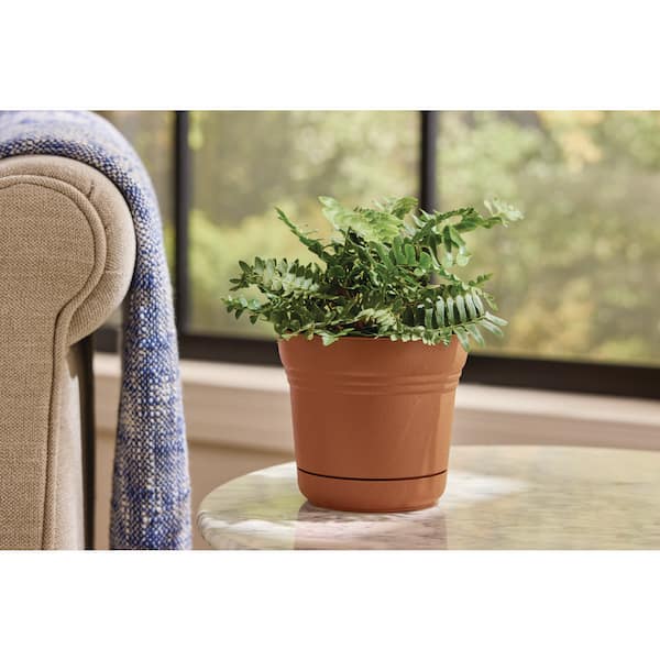 5 in. Anne Terra Cotta Plastic Planter (5 in. x 4.5 in.) with Drainage Hole and Attached Saucer