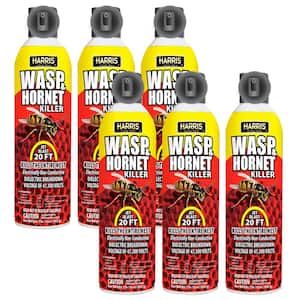 Raid 14 oz. Wasp and Hornet Killer Twin Pack SCJ649019 - The Home Depot