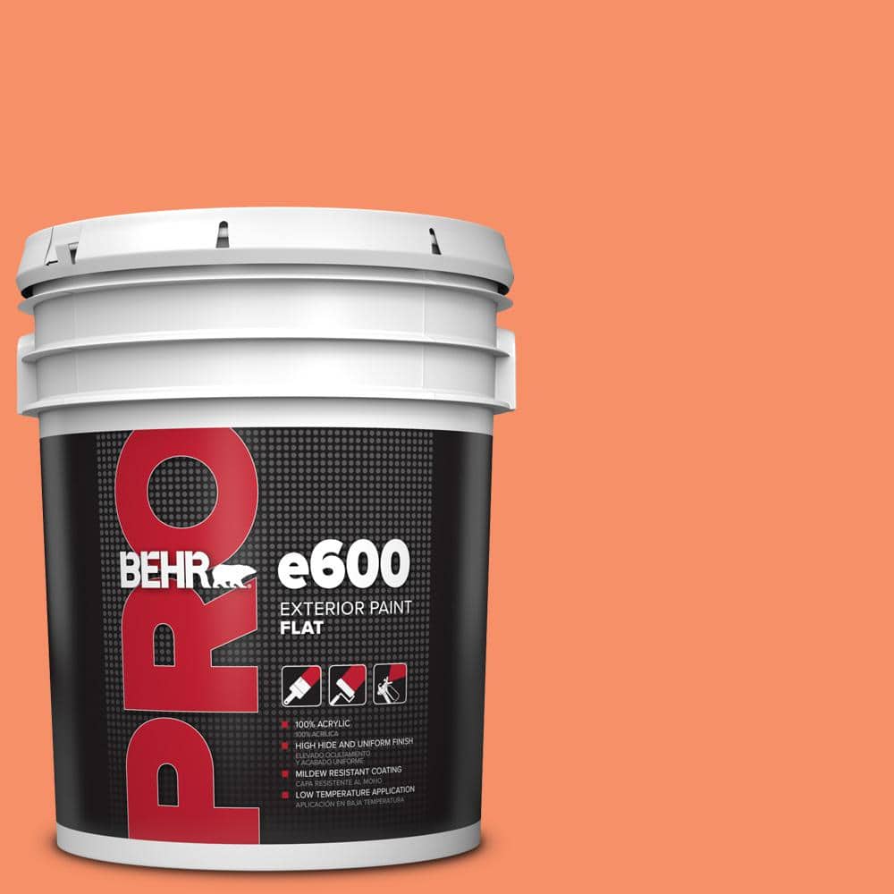 5 gal. #210B-5 Tangerine Dream Flat Exterior Paint price history on PriceWatchPro
