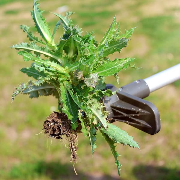 1pc Gardening Weeding Tool Hook Weed Puller Stainless Steel Shovel For  Flower Planting, Home Use