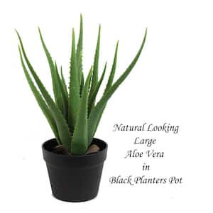 19 " Green Artificial Aloe Vera in a Black Contemporary Pot