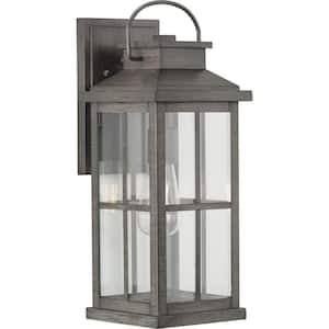 Williamston 1-Light Antique Pewter Clear Glass Farmhouse Outdoor Large Wall Lantern Light
