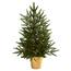 https://images.thdstatic.com/productImages/4d0d82ff-0eaf-41aa-bb28-9012e2c735cc/svn/nearly-natural-pre-lit-christmas-trees-5370-64_65.jpg