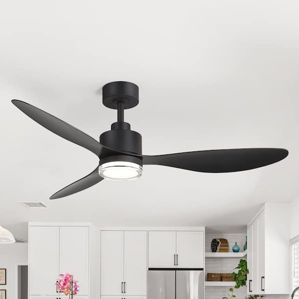 Anselm 52 in. Integrated LED Indoor Standard Black Ceiling Fan with Light, Downrod, Black Blade and Remote Included