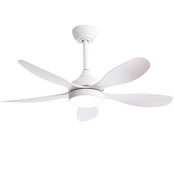 Unbranded 42 in. Indoor White Ceiling Fan with Light, Dimmable, Reversible DC Motor, 5 ABS Blades and Remote