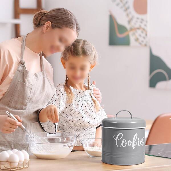 Wudkey 1-Piece 1 gal. Large Gray Vintage BPA-Free Metal Cookie Jar