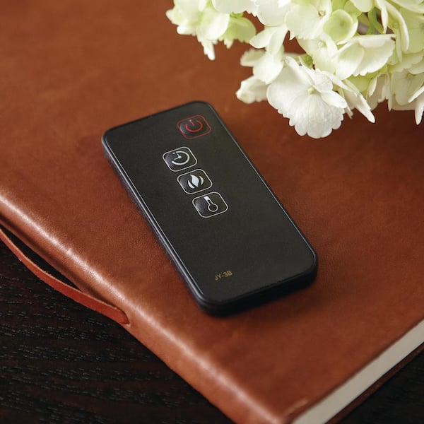 Home Decorators Collection - Avondale Grove 59 in. TV Stand Infrared Electric Fireplace in Aged White