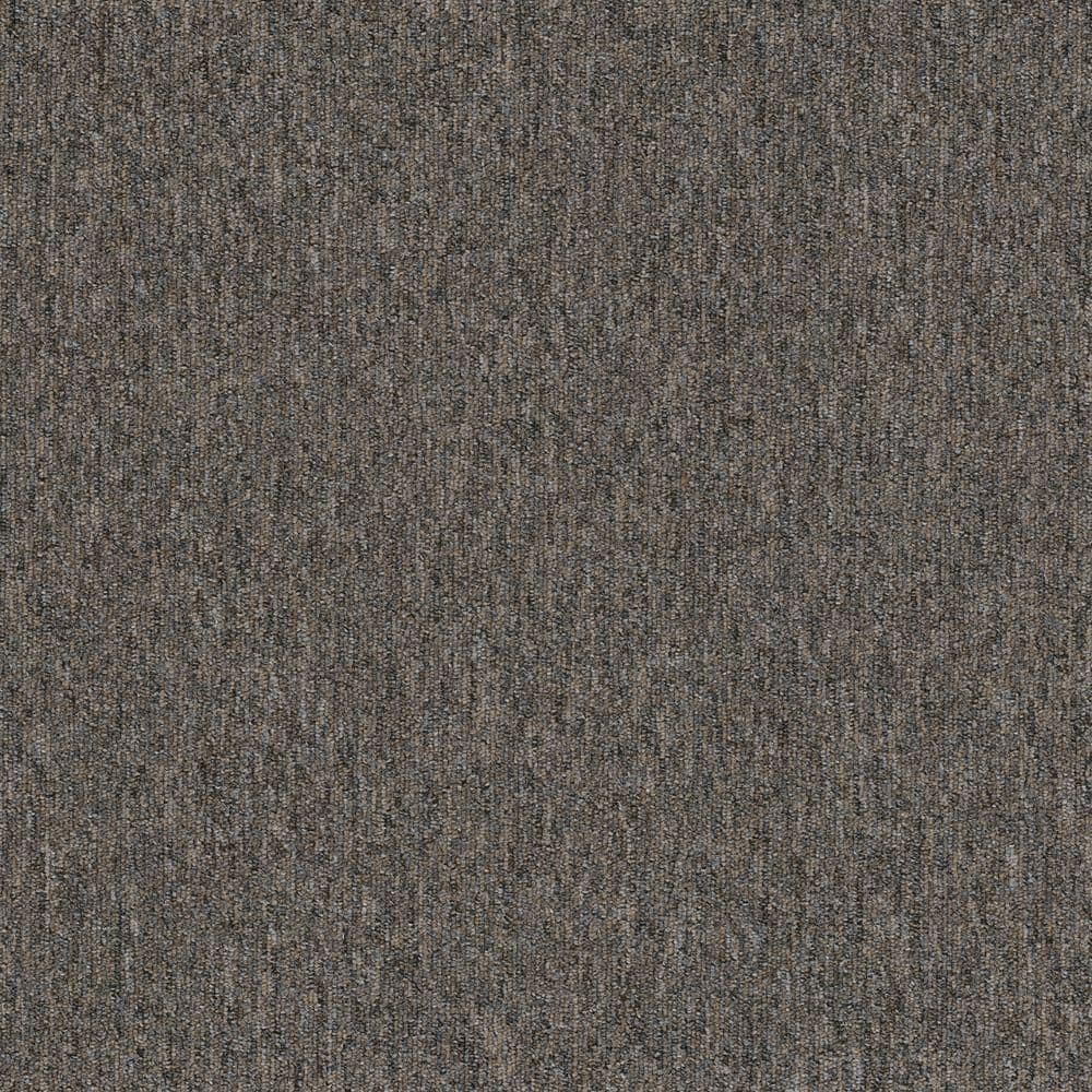 8 in. x 8 in. Loop Carpet Sample - Form Focus 26 - Color Pashmina price history on PriceWatchPro