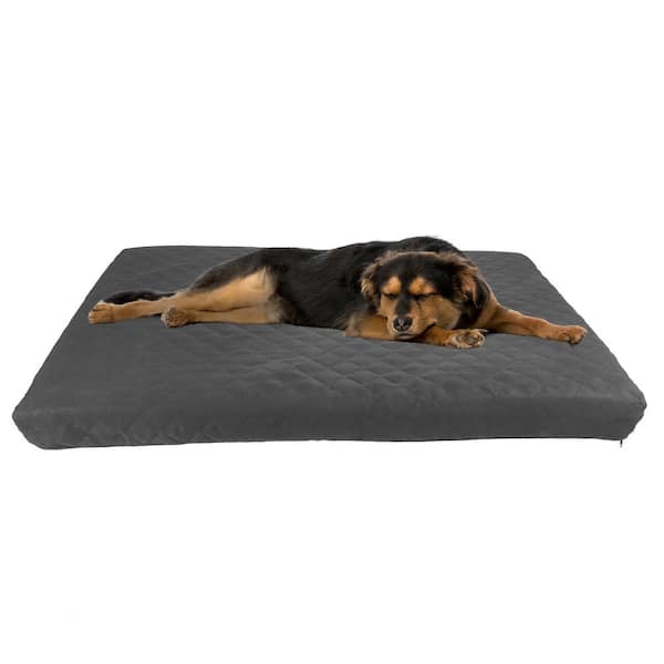 Jumbo dog online bed