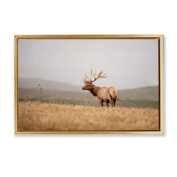 Stupell Industries Tule Elk Photography by Crystal Lynn Collins Gold Floater Frame Nature Graphic Art Print 17 in. x 25 in.