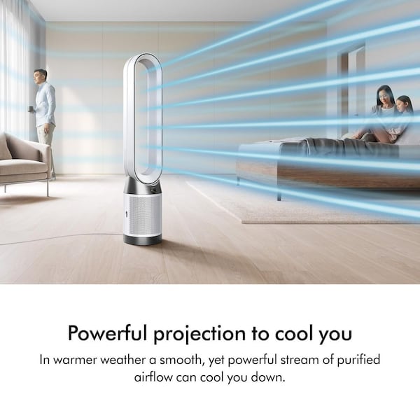 Dyson 101 sq. ft. Combined Glass HEPA and Activated Carbon Filter