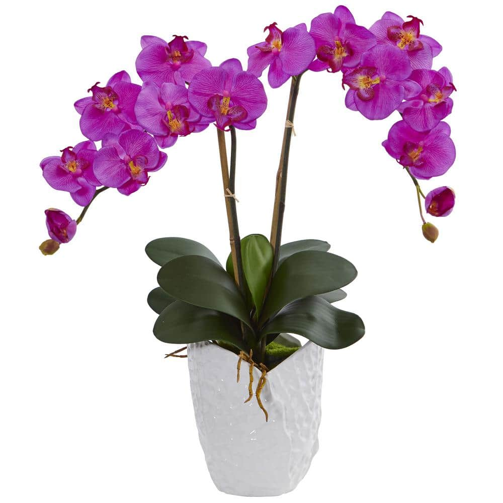 Nearly Natural Double Phalaenopsis Orchid Artificial Arrangement in ...