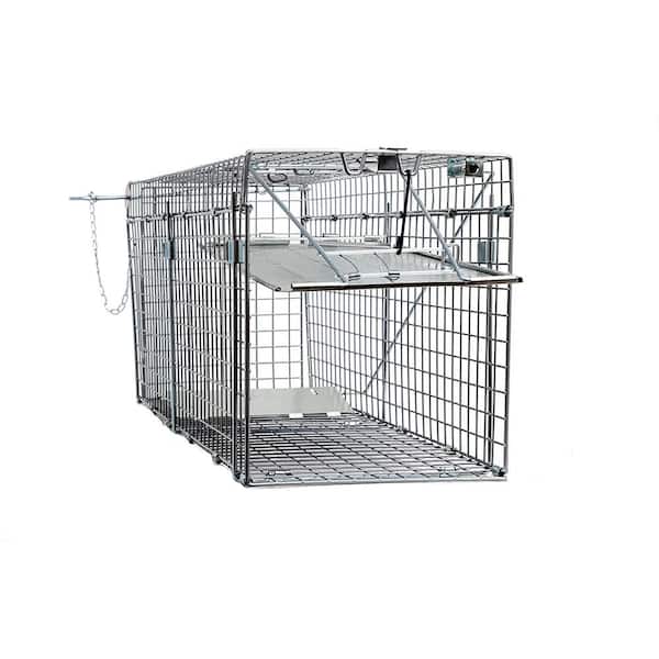 Humane Small Live Animal Trap Control Steel Cage Raccoon Skunk Cat Metal  Traps