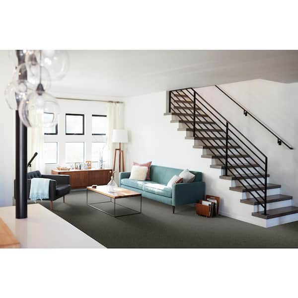 Gilbert Park I - Georgian - Black 48 oz. Polyester Texture Installed Carpet