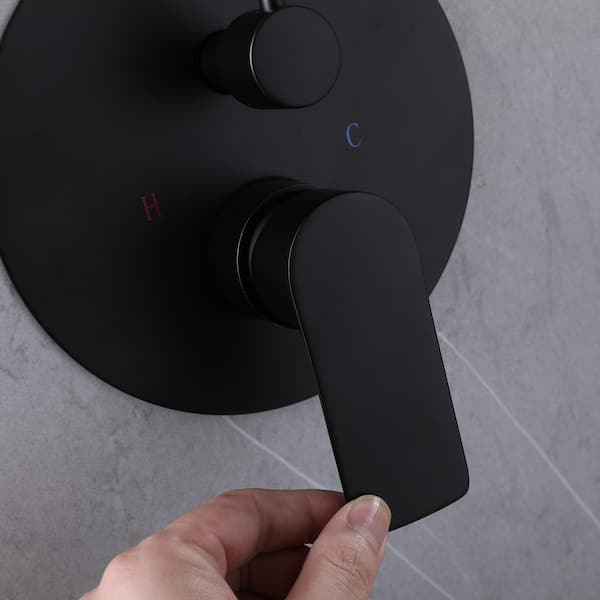 2-Spray 6 in. Dual Handle Wall Mounting Shower Head and Handheld Shower Head 3.6 GPM in Matte Black