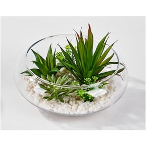 6 in. Artificial Mixed Succulents on Stones in Glass Pot
