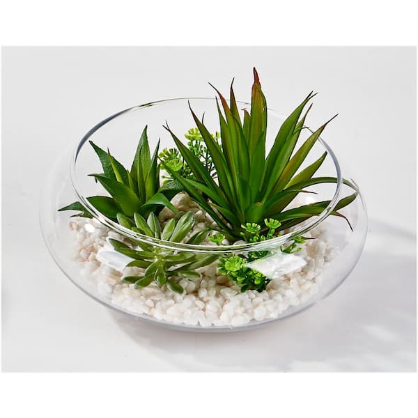6 in. Artificial Mixed Succulents on Stones in Glass Pot