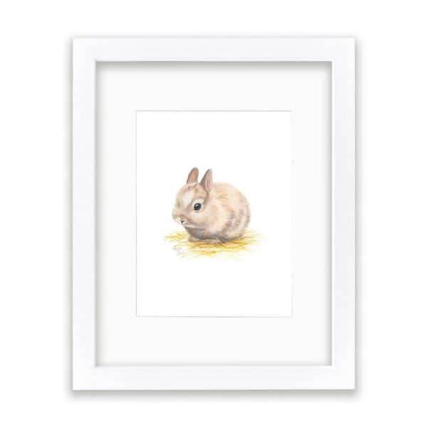 Unbranded Barnyard Littles "Bunny" by Alyssa Lewis Individual White Framed with Mat Animal Art Print 24 in. x 18 in.
