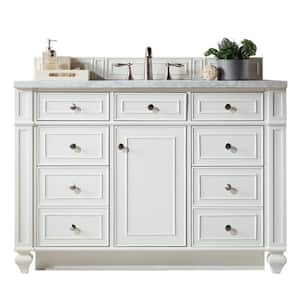 Bristol 48 in. W x 23.5 in. D x 34 in. H Single Vanity in Bright White with Solid Surface Top in Arctic Fall