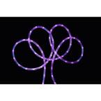 18 ft. Purple LED Indoor/Outdoor Rope Lights