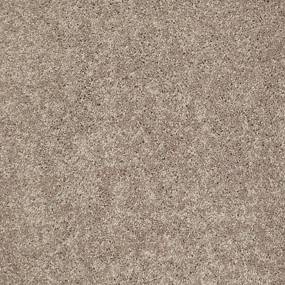 8 in. x 8 in. Texture Carpet Sample - Palmdale II - Color Mocha Nut price history on PriceWatchPro