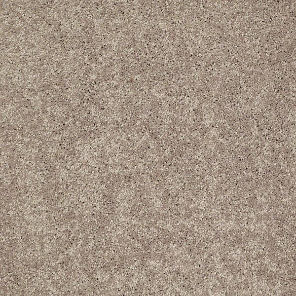 TrafficMaster 8 in. x 8 in. Texture Carpet Sample - Palmdale II - Color Mocha Nut