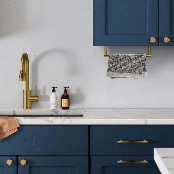 Forious pro Wall-Mount Single Post Toilet Paper Holder in Gold