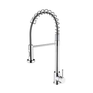 Lanuvio Brass Single-Handle Pull-Down Spray Kitchen Faucet in Chrome