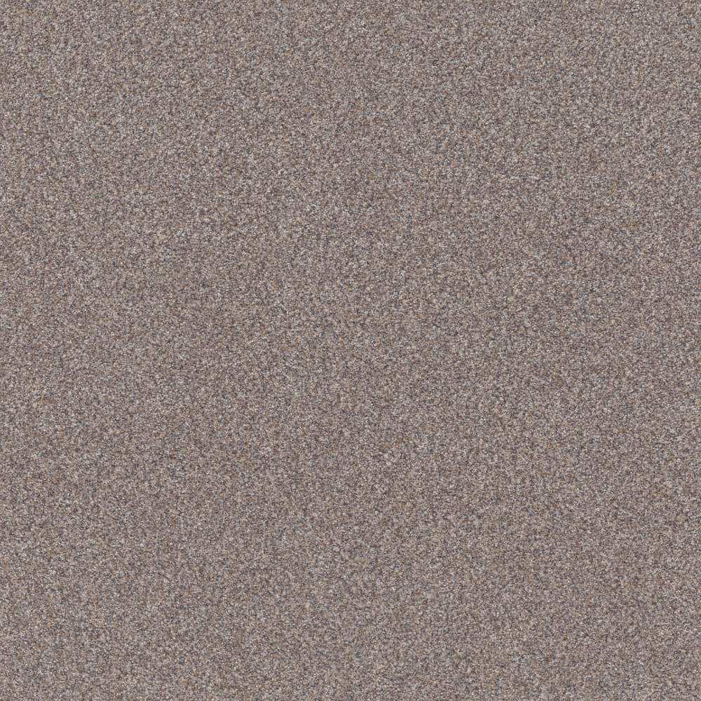 8 in x 8 in.  Texture Carpet Sample - Columbus II - Color Pebble price history on PriceWatchPro
