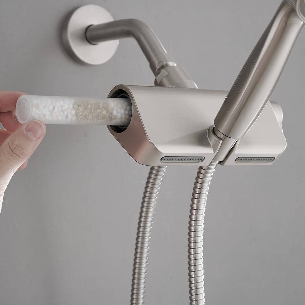 Brushed Nickel Dual Shower Head with Handheld and Filter