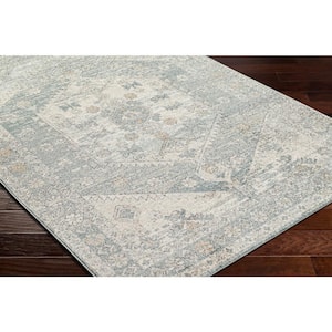 Alpharetta Blue/Gray Medallion 7 ft. x 9 ft. Indoor Area Rug