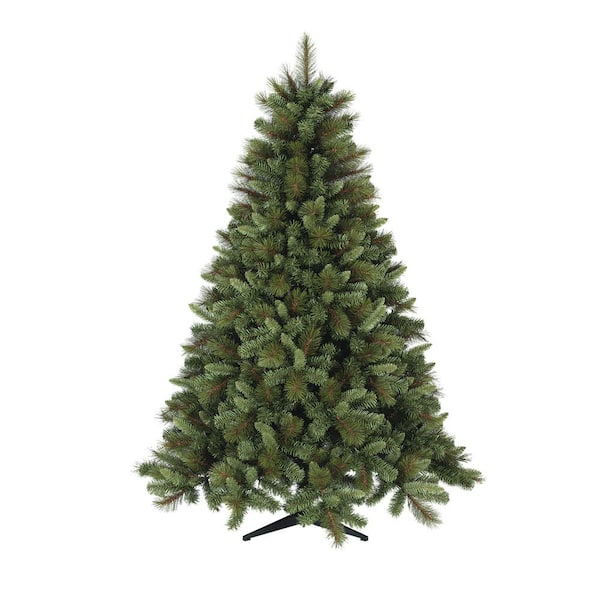 6-7 ft. Freshly Cut Frasier Fir Live Christmas Tree (Real, Naturally-Grown) America's Favorite Christmas Tree